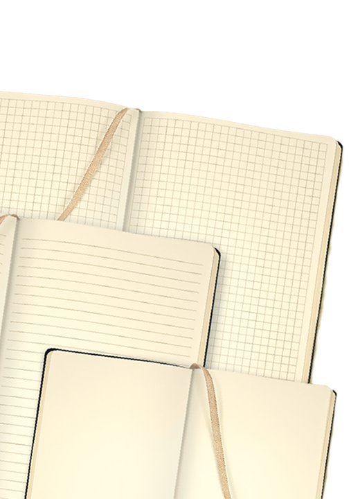 IVORY intérieur carnet 2